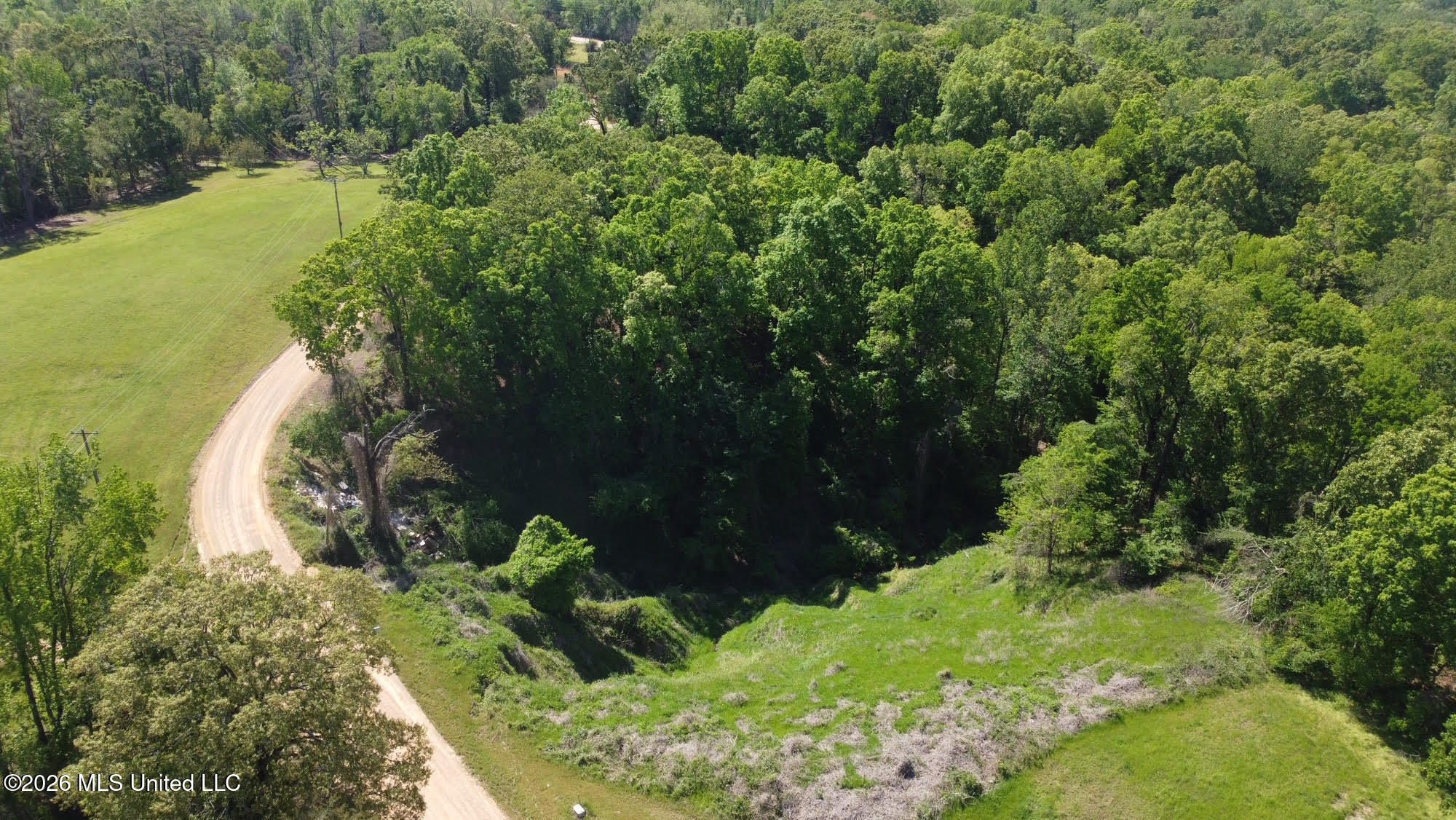 0 Malmaison Road Carrollton, MS 38917 - Photo 12 of 20 12