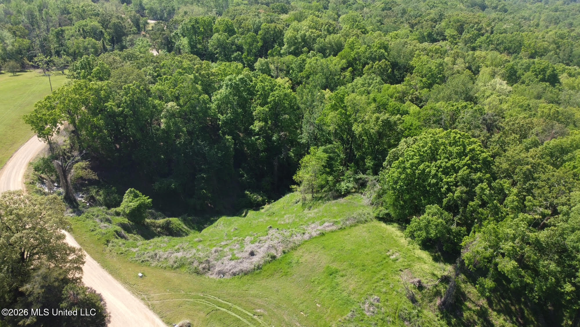 0 Malmaison Road Carrollton, MS 38917 - Photo 13 of 20 13