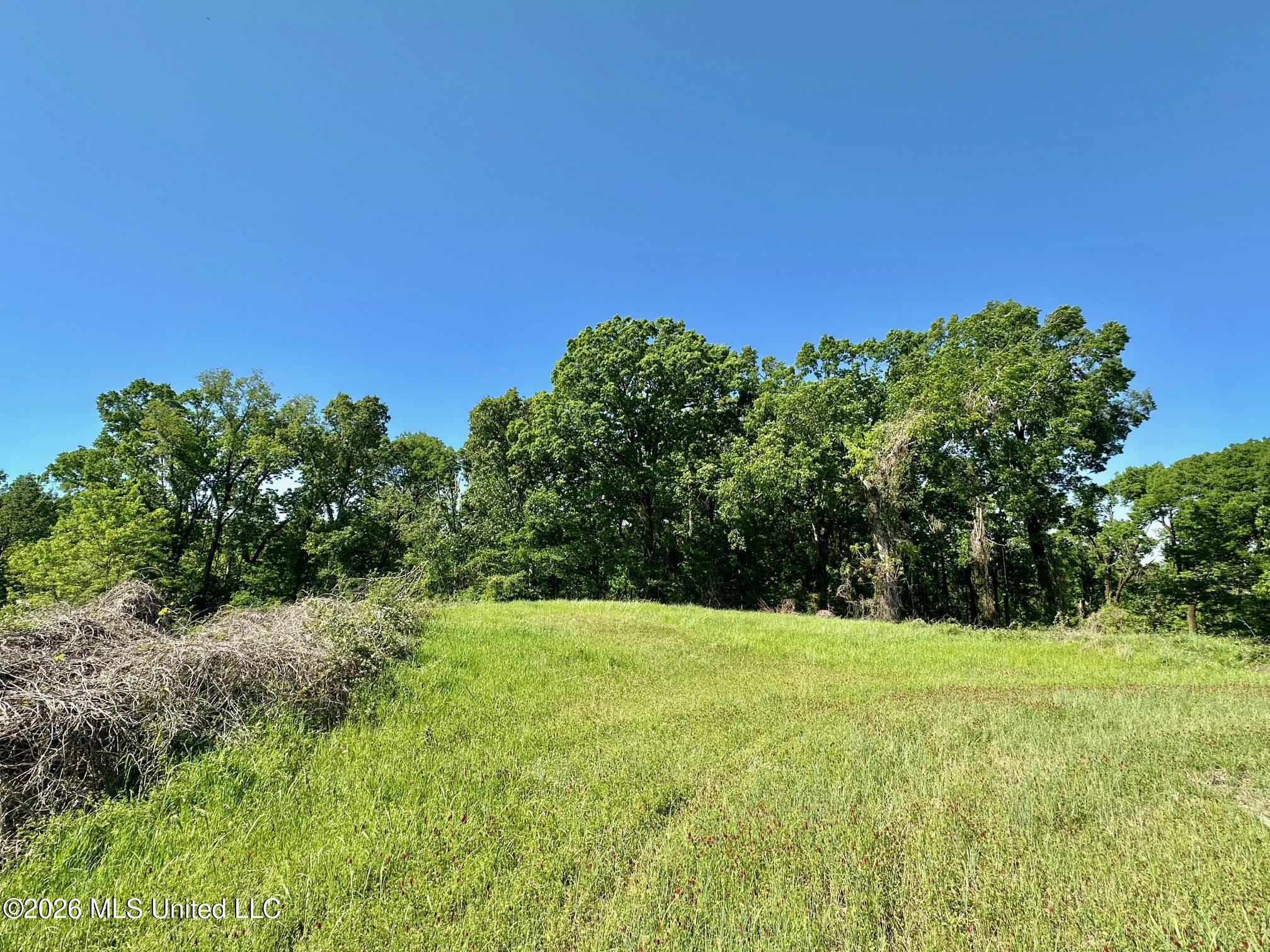 0 Malmaison Road Carrollton, MS 38917 - Photo 3 of 20 2