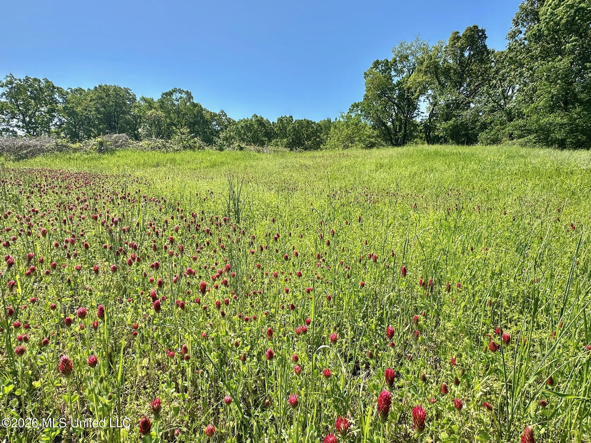 0 Malmaison Road Carrollton, MS 38917 - Photo 4 of 20 3