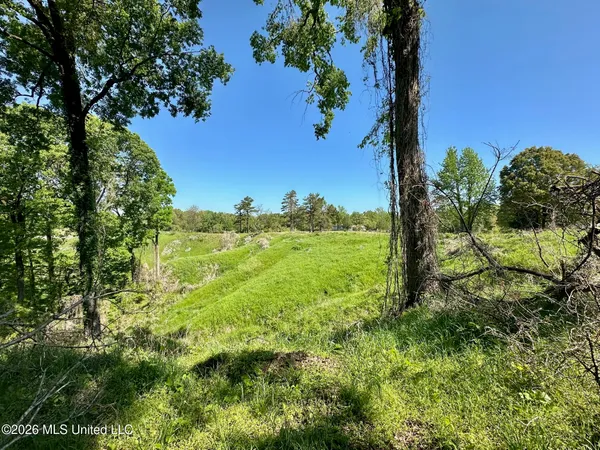 $49,000 | 0 Malmaison Road, Carrollton, MS 38917