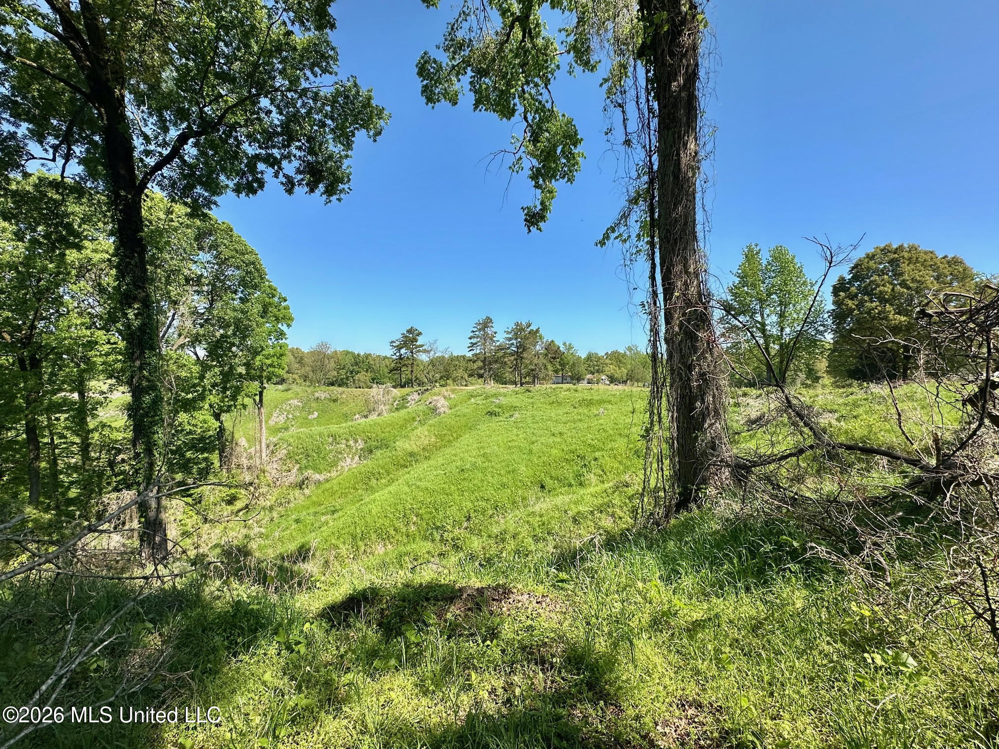 0 Malmaison Road Carrollton, MS 38917 - Photo 5 of 20 4