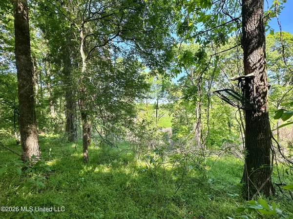 $49,000 | 0 Malmaison Road, Carrollton, MS 38917