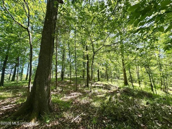 $49,000 | 0 Malmaison Road, Carrollton, MS 38917