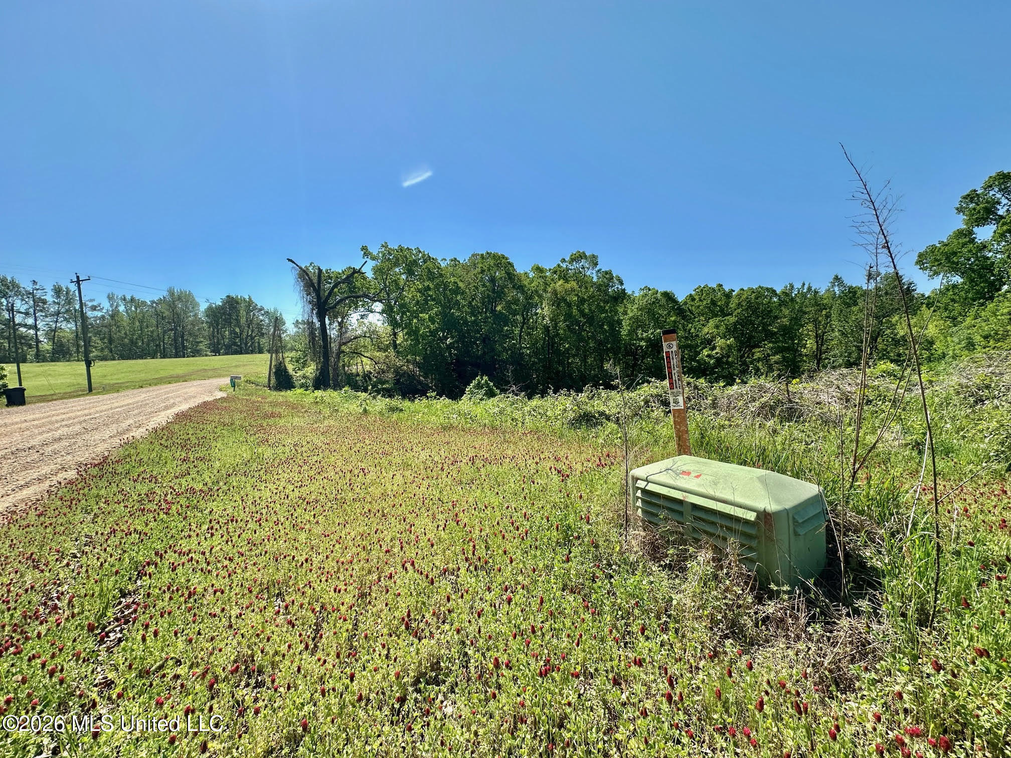 0 Malmaison Road Carrollton, MS 38917 - Photo 9 of 20 9