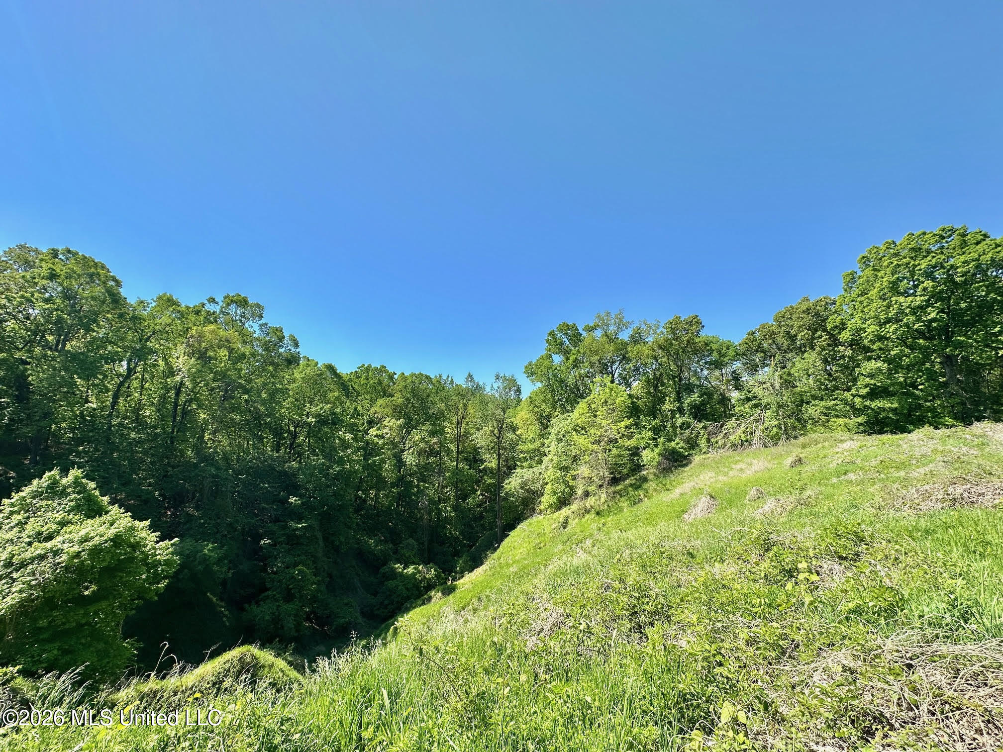 0 Malmaison Road Carrollton, MS 38917 - Photo 10 of 20 10