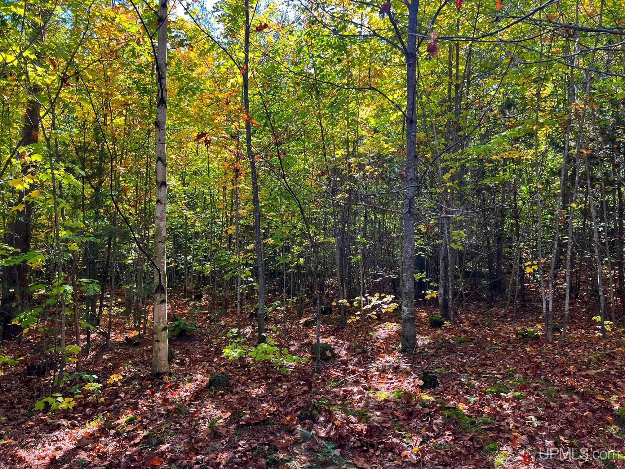 Tbd3 Tbd3 Oak Point Road Atlantic Mine, MI 49905 - Photo 8 of 21