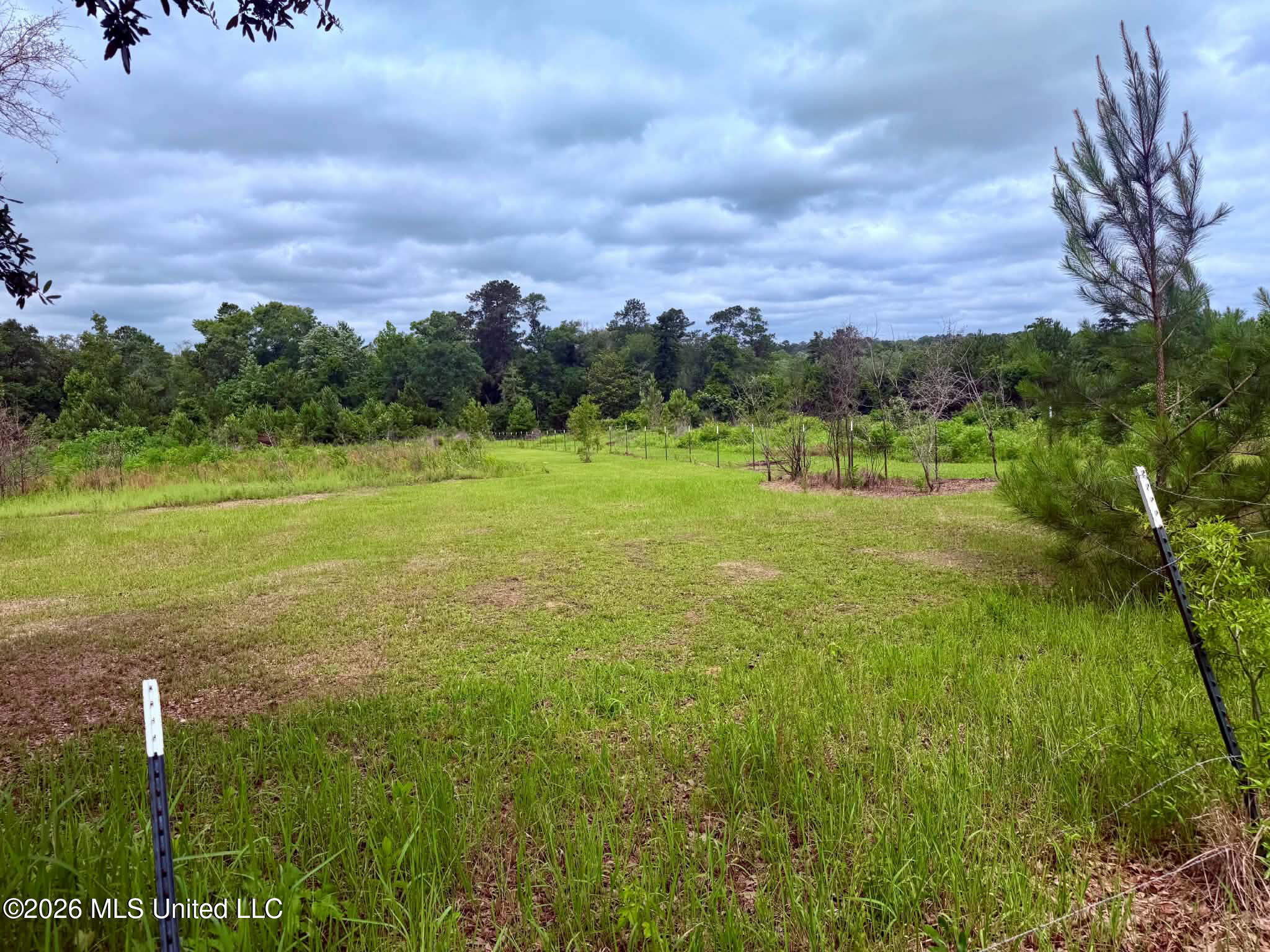 1882 McInnis Vernal Road Lucedale, MS 39452 - Photo 10 of 20 e5dced26-9660-40ec-ac00-b2139f4011e6