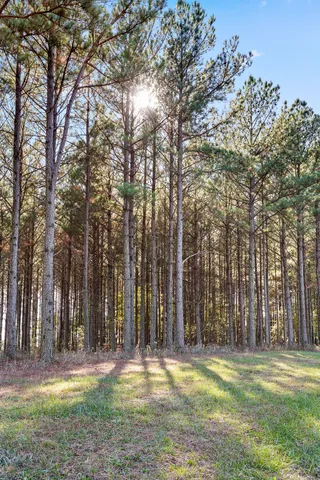 $375,000 | 0 River Bluffs Drive, Unit 2B; 62, Jasper, TN 37347