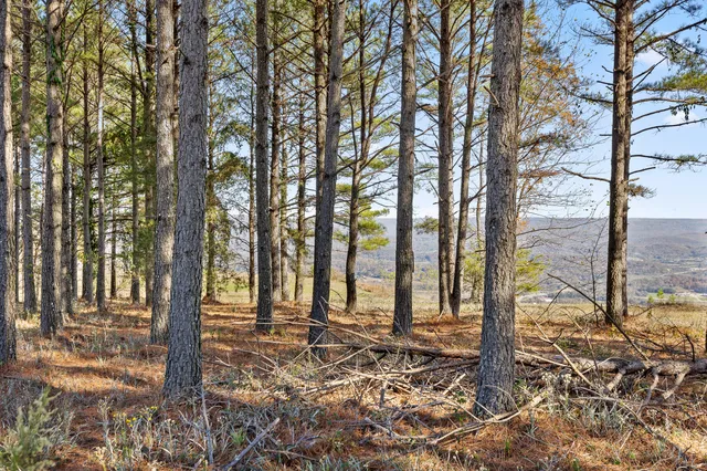 $375,000 | 0 River Bluffs Drive, Unit 2B; 62, Jasper, TN 37347