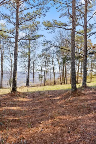 $375,000 | 0 River Bluffs Drive, Unit 2B; 62, Jasper, TN 37347