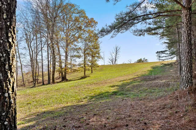 $375,000 | 0 River Bluffs Drive, Unit 2B; 62, Jasper, TN 37347