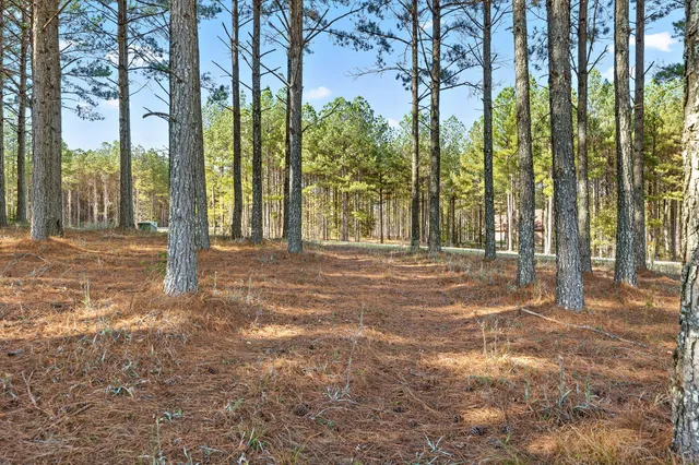 $375,000 | 0 River Bluffs Drive, Unit 2B; 62, Jasper, TN 37347