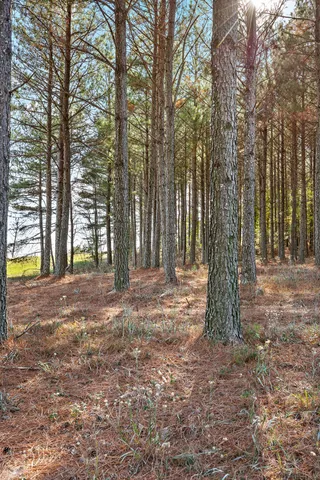 $375,000 | 0 River Bluffs Drive, Unit 2B; 62, Jasper, TN 37347