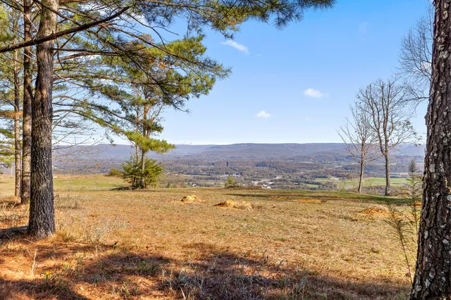 $375,000 | 0 River Bluffs Drive, Unit 2B; 62, Jasper, TN 37347