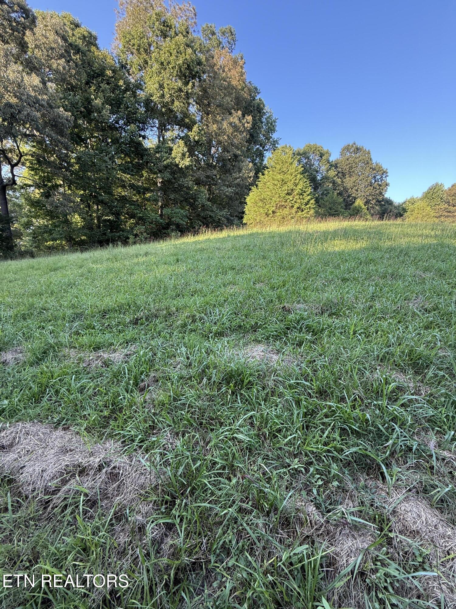 1305 Sweetwater Road Philadelphia, TN 37846 - Photo 7 of 9 IMG_4519