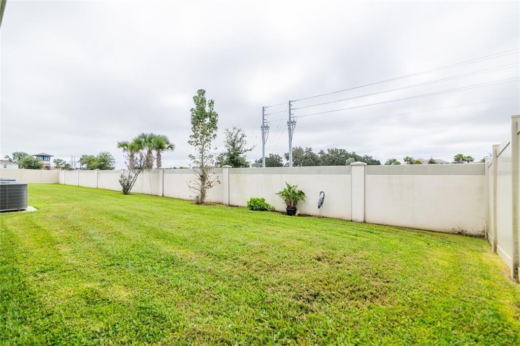 33860 Jasmine Star Loop Wesley Chapel, FL 33543 - Photo 14 of 14 a view of a lake with a big yard and large trees