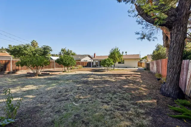 a view of a yard with tree s