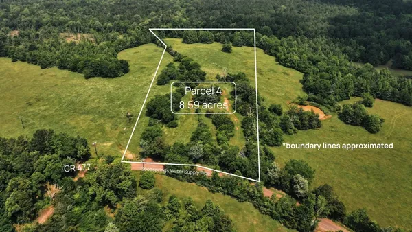 a view of a back yard