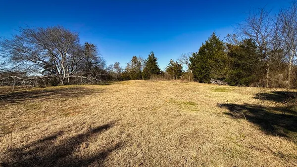 a view of yard with trees