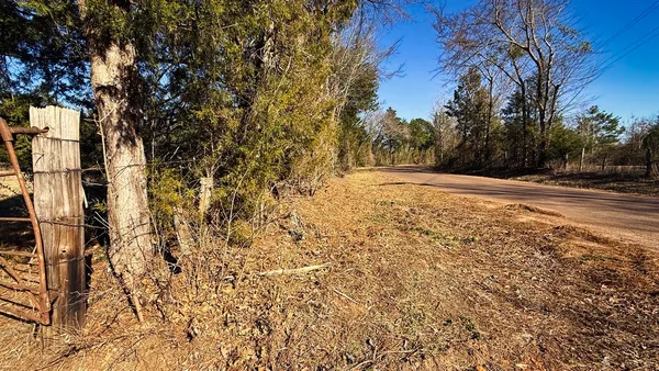 a view of dirt yard with a tree
