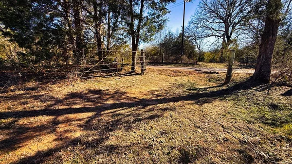 a view of yard with trees