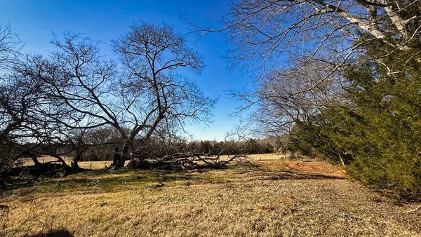 a view of swimming pool with trees in the background