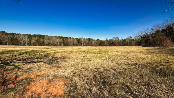 a view of ocean view with large trees