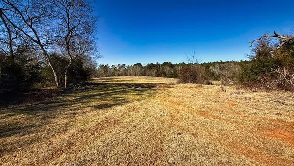 a view of a yard with trees