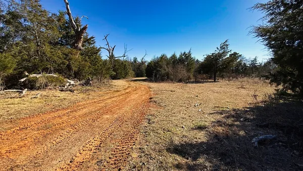 a view of a yard