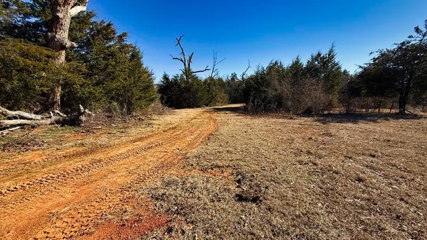 a view of snow covered with snow