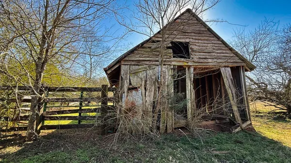 a view of a yard with trees