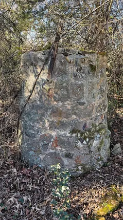 a view of ocean view with trees