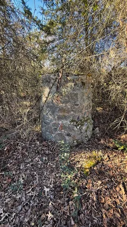 a view of outdoor space and yard