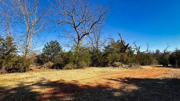 a view of yard covered with snow in outdoor space