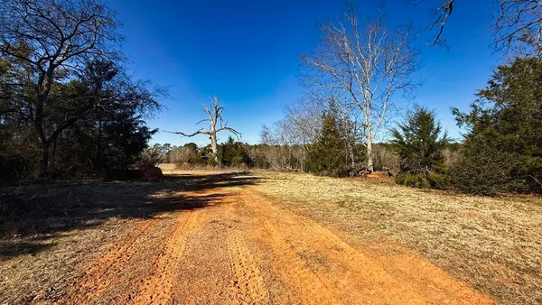 a view of ocean view with large tree