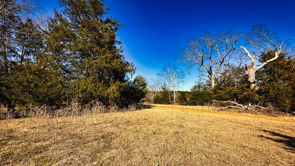 a street view along with trees