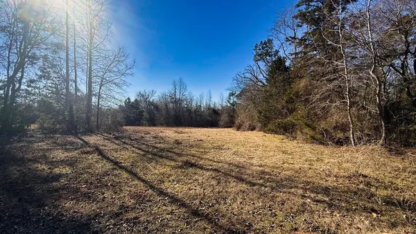 a view of outdoor space with trees