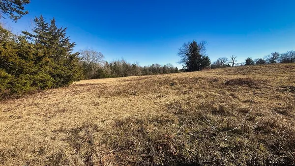 a view of outdoor space and trees