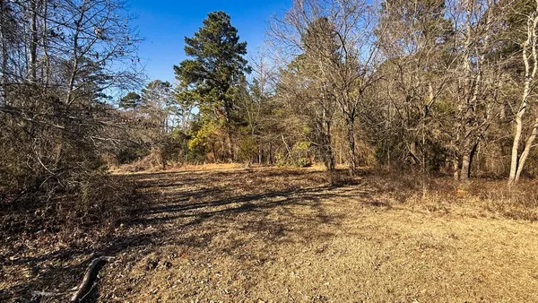 a view of a yard with a house