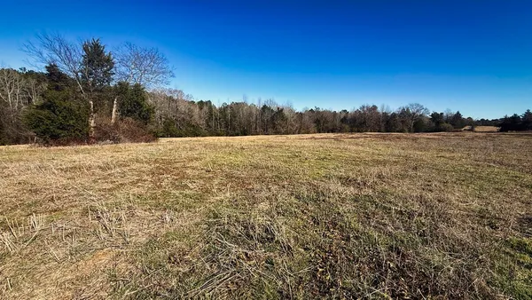 a view of an outdoor space with yard