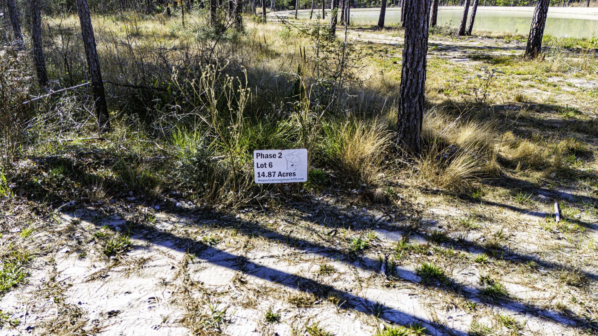 26 King Ranch Rd Road South Onalaska, TX 77360 - Photo 11 of 16 a view of a yard