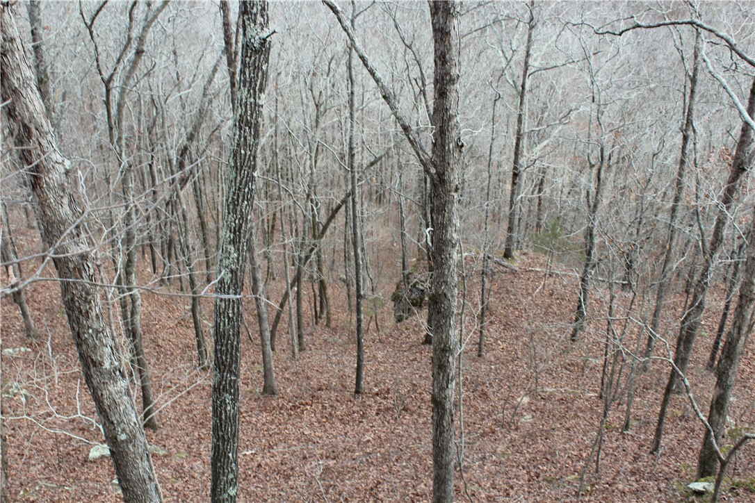 0 Old Brewer Road South Edgemont, AR 72044 - Photo 37 of 60 View of wooded area