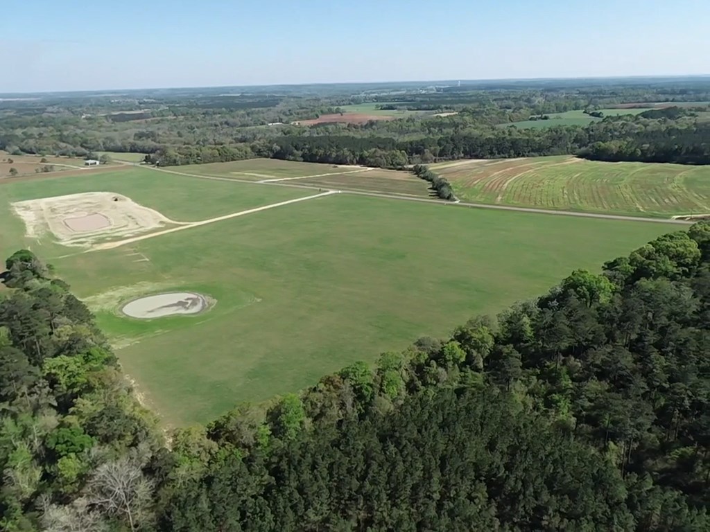 54.28-ac Webb Road Dothan, AL 36301 - Photo 18 of 57