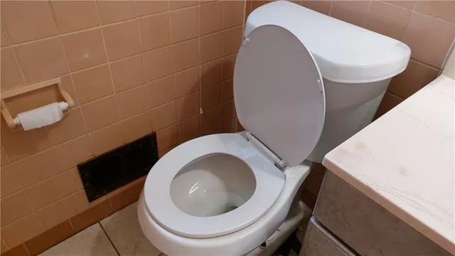 a close view of a toilet in a bathroom