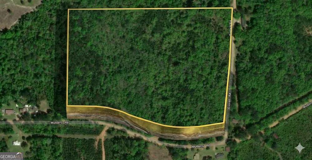 0 Mulberry/moore Road Brantley, AL 36009 - Photo 1 of 7