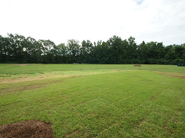 155 Hill Branch Road Ridgeville, SC 29472 - Photo 36 of 40 36