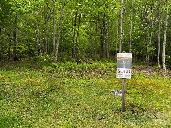 $15,000 | 1 Pearl Way, Mars Hill, NC 28754