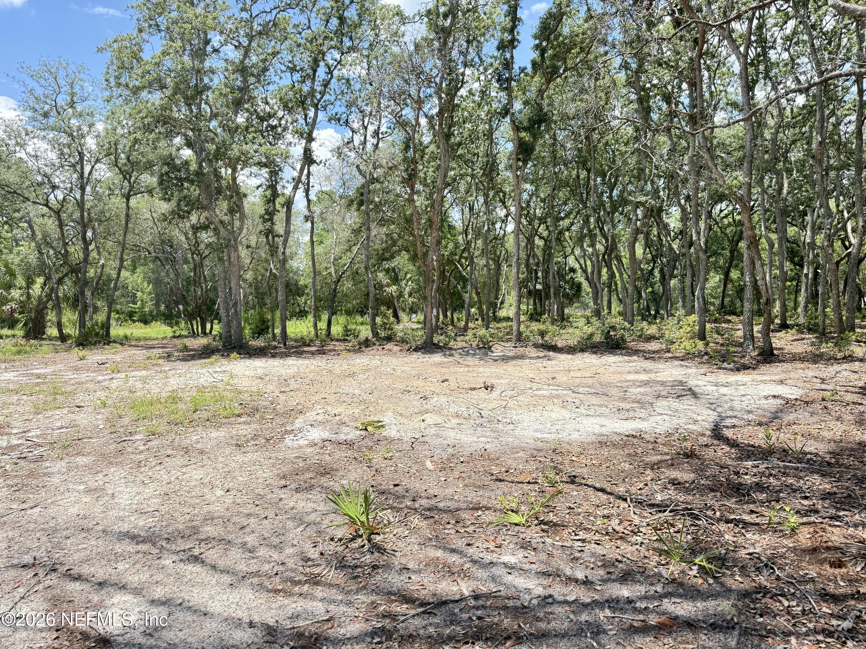 438 Chamberlain Road Satsuma, FL 32189 - Photo 9 of 21 IMG_2961