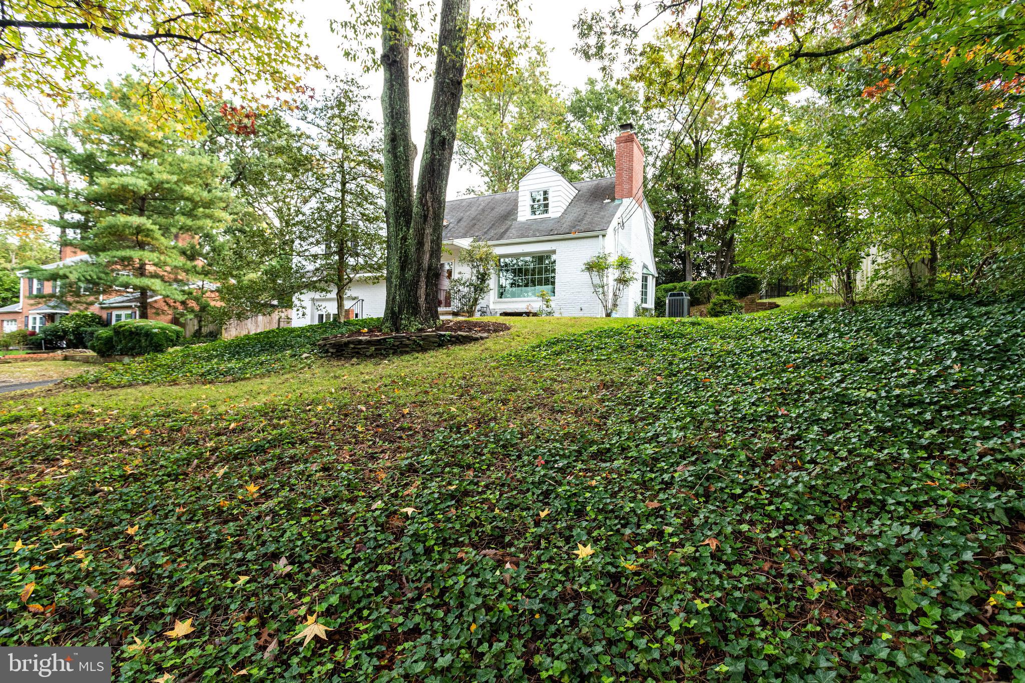 7107 Fort Hunt Road Alexandria, VA 22307 - Photo 7 of 62 Front yard